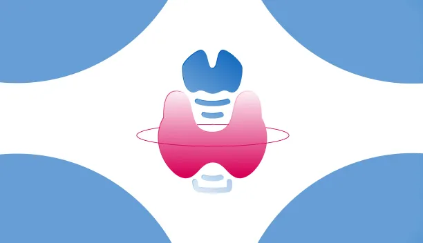 Эндокринология